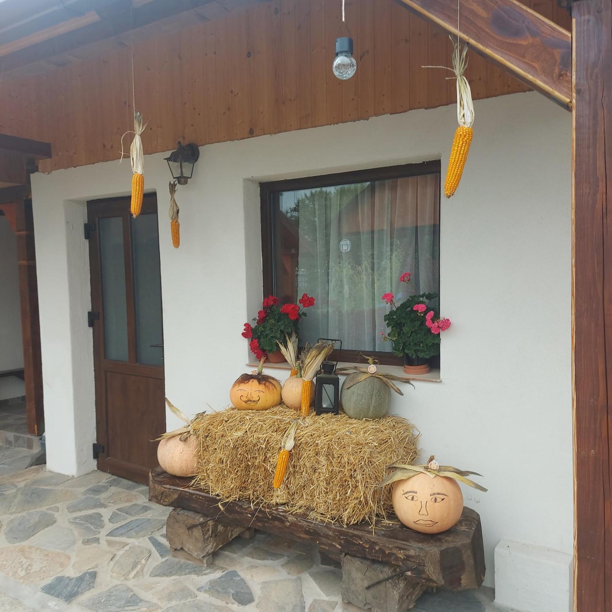 Cabana Lunca Targu Neamt Ngoại thất bức ảnh